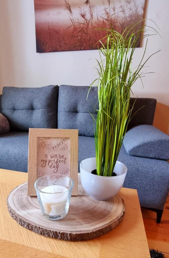 Apartma Metka Bovec Extérieur photo